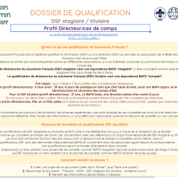 vignette Dossier de qualification DSF, Profil Directeur.ice de camp