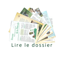 vignette Dossier Passerelle Eco