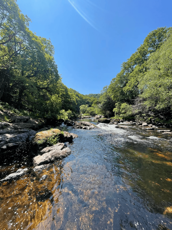Les bénéfices d&rsquo;une relation concrète à la nature sur notre santé mentale par Anaïs Gauthier