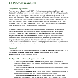 vignette La promesse adulte