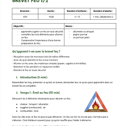 vignette Brevet Feu 1/2