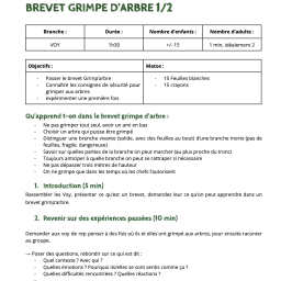 vignette Brevet grimpe d&rsquo;arbre 1/2