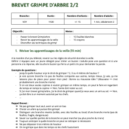 vignette Brevet grimpe d&rsquo;arbre 2/2