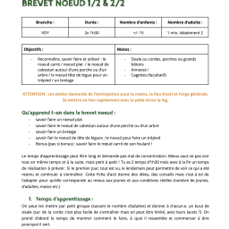 vignette Brevet noeud 1/2 et 2/2
