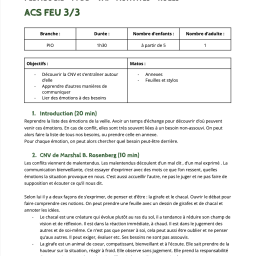 vignette ACS Feu 3/3