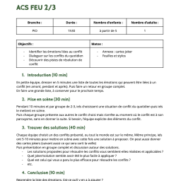 vignette ACS Feu 2/3