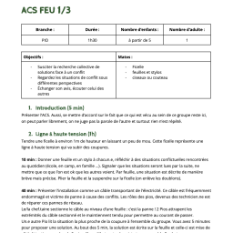 vignette ACS Feu 1/3