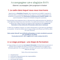 vignette Accompagner un.e stagiaire BAFA